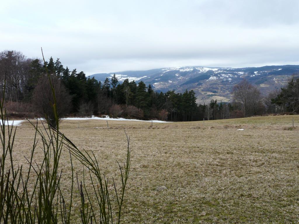 Burdignes, 08-03-09, 11-15.jpg